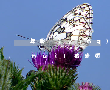 年假應(yīng)該怎么休?未休年假會(huì)被清零嗎？